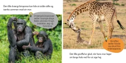 Aktivitetskuffert - Vilde dyr|Børn Sprog & Leg|Legetøj Til Ferien