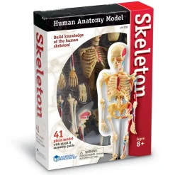 Learning Resources Anatomimodel - Skelet| Skolesjov|Montessori