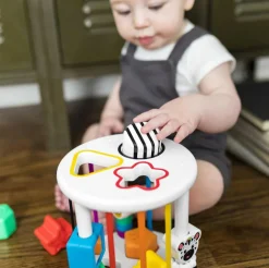 Baby Einstein - Puttekasse| Tumlinge Legetøj|Sorterings- & Stablelegetøj