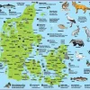 Dækkeserviet - Danmark| Skolesjov