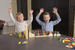 Egmont Toys Domino - Rally, 200 dele| Sorterings- & Stablelegetøj
