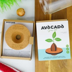 Dyrk din egen avocadoplante| Naturvidenskab|Insekt & Naturleg