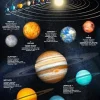 Forlaget Bolden Fakta-plakat: Solsystemet (70 x 100 cm.)| Naturvidenskab|Astronomi