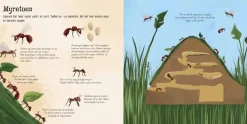 Forlaget Bolden Flapbog - Jeg ser på... Små insekter|Børn Sprog & Leg|Naturvidenskab