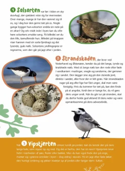 Forlaget Bolden Fugle i vores natur|Børn Naturvidenskab|Insekt & Naturleg