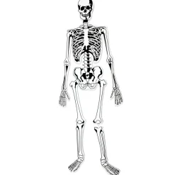 Learning Resources Gulvpuslespil - Skelet| Halloween|Anatomi/Kroppen