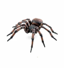 Papo Husedderkop - L: 6,3 cm| Naturvidenskab|Insekt & Naturleg