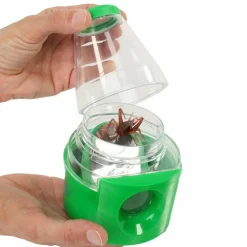 InsectLore Insektglas - Over & Under| Naturvidenskab|Insekt & Naturleg