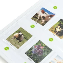 Interaktiv tavle - optag og afspil| Vis Alle Varer (Særlige Behov)|Logik & Talforståelse