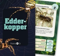 Kortspil - Edderkopper| Naturvidenskab|Legetøj Til Ferien