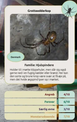 Kortspil - Edderkopper| Naturvidenskab|Legetøj Til Ferien