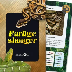 Kortspil - Farlige slanger| Naturvidenskab|Legetøj Til Ferien
