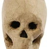 Creativ Company Kranium i papmaché - H: 10 cm.| Halloween