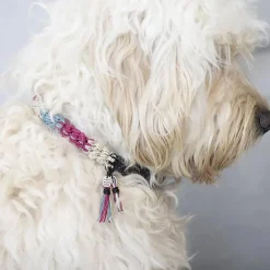 Creativ Company Kreapose - Lav et hæklet hundehalsbånd| Kreativ Leg