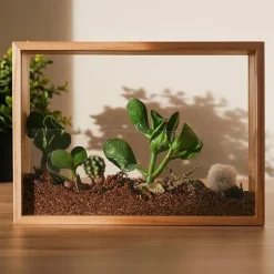 Lav din egen vertikale mini-have| Naturvidenskab|Insekt & Naturleg
