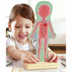 Hape Magnetisk puslespil - Anatomi| Anatomi/Kroppen|Puslespil