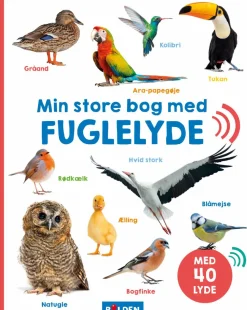 Forlaget Bolden Min store bog med fuglelyde|Børn Børnebøger