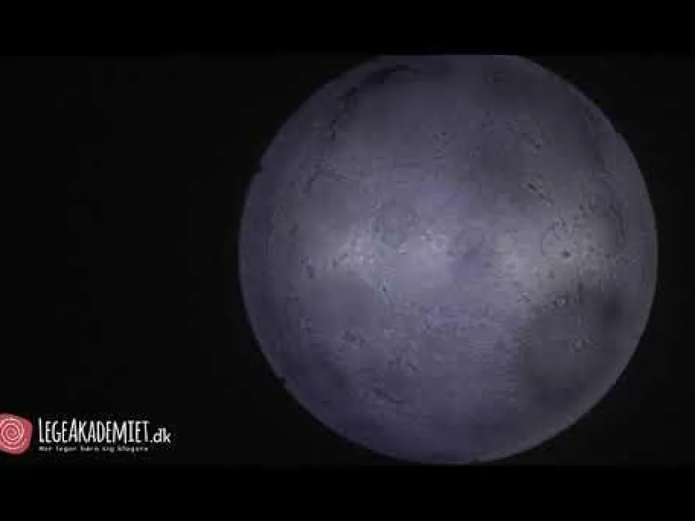 Brainstorm Måne lampe| Astronomi