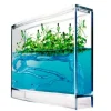 Myreakvarium med planter| Insekt & Naturleg|Eksperimenter