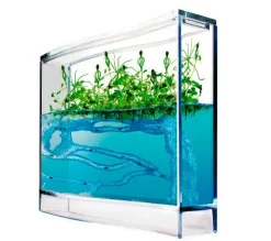 Myreakvarium med planter| Insekt & Naturleg|Eksperimenter
