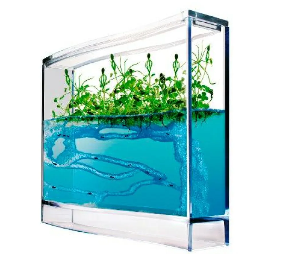 Myreakvarium med planter| Insekt & Naturleg|Eksperimenter