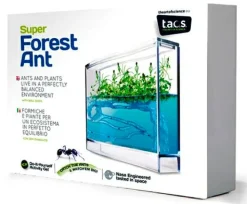 Myreakvarium med planter| Insekt & Naturleg|Eksperimenter