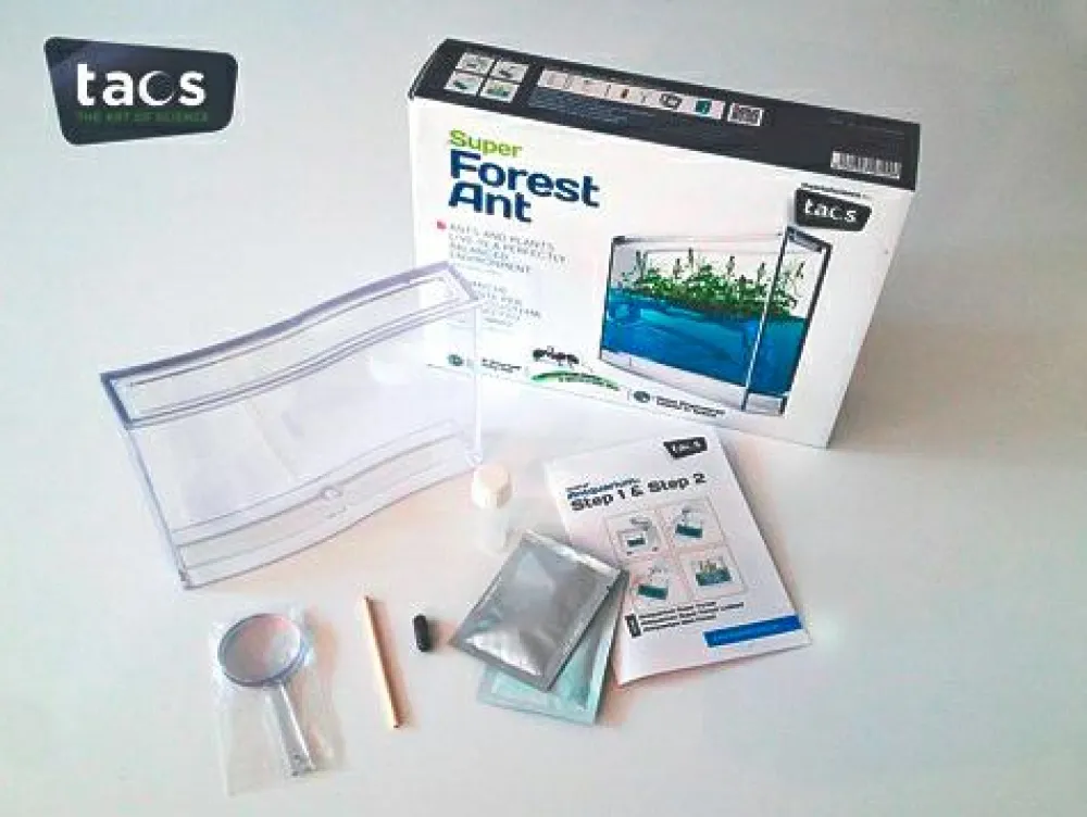 Myreakvarium med planter| Insekt & Naturleg|Eksperimenter