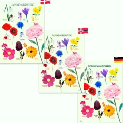 Ciha Plakat 50 x 70 cm - Farverne og blomsterne|Børn Til Børneværelset|Sprog & Leg