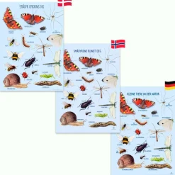 Ciha Plakat 50 x 70 cm - Smådyr omkring dig|Børn Til Børneværelset|Naturvidenskab