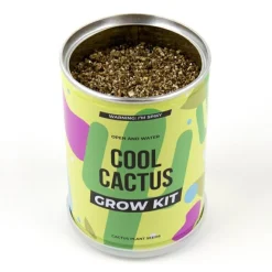 Plant selv kit - Kaktus| Naturvidenskab|Insekt & Naturleg