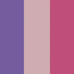 Creativ Company Plus Color tusser - Lyserød/Lilla/Rosa, 3 stk.| Tegne- & Malegrej