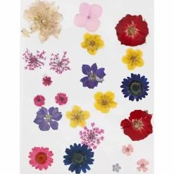 Creativ Company Pressede blomster - Blandede farver, 1 ark| Påske|Kreativ Leg