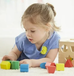 Melissa & Doug Puttekasse med geometriske klodser| Montessori|Tumlinge Legetøj