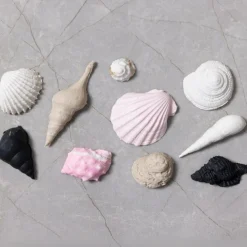 Creativ Company Silikoneform - Konkylier & skaller, 10 motiver| Kreativ Leg