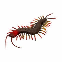 Spiegelburg Skolopender - L: 23 cm| Naturvidenskab|Insekt & Naturleg