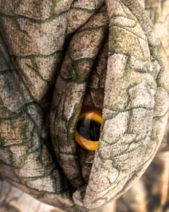 Den Goda Fen Spinosaur, str. 3-4 år| Halloween|Fastelavn