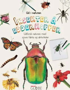Ud i naturen - Insekter og edderkopper|Børn Naturvidenskab|Insekt & Naturleg