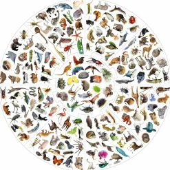 educa Vildkatten - Animals| Spil