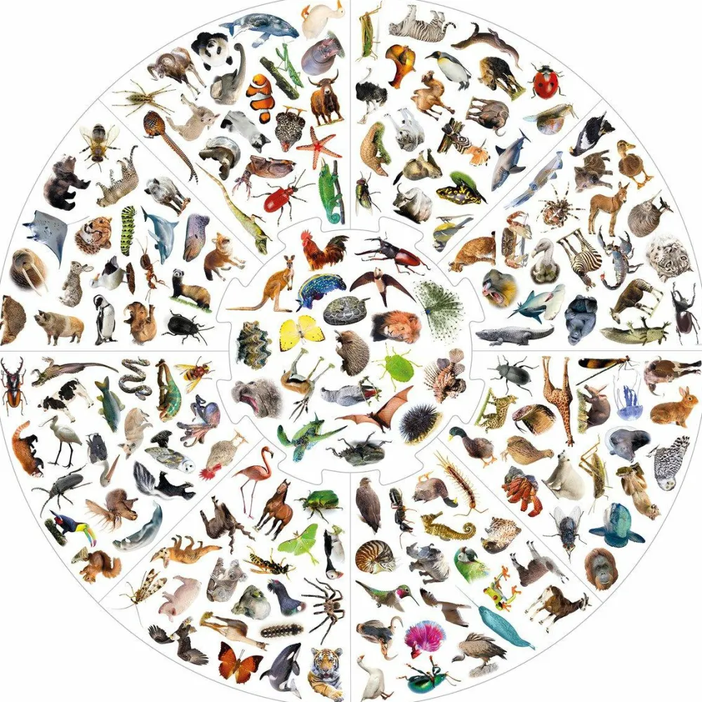 educa Vildkatten - Animals| Spil